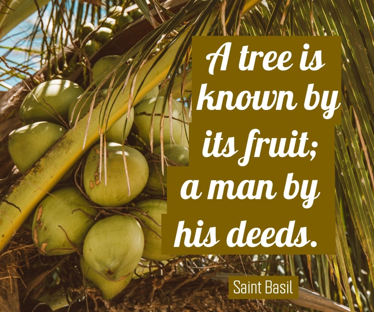 A man is known by his deeds.