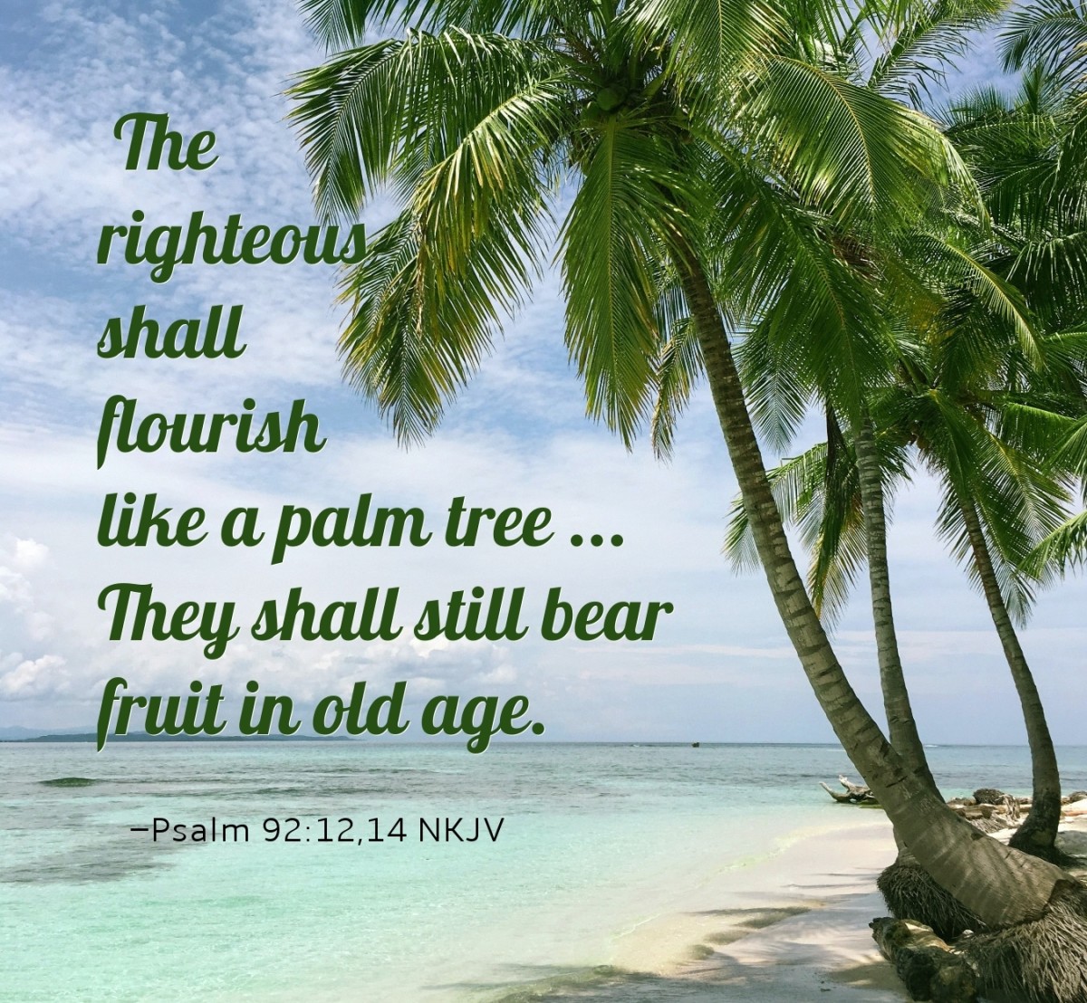 Good people are like budding palm trees. (Psalm 92:12 Easy-to-Read Version)