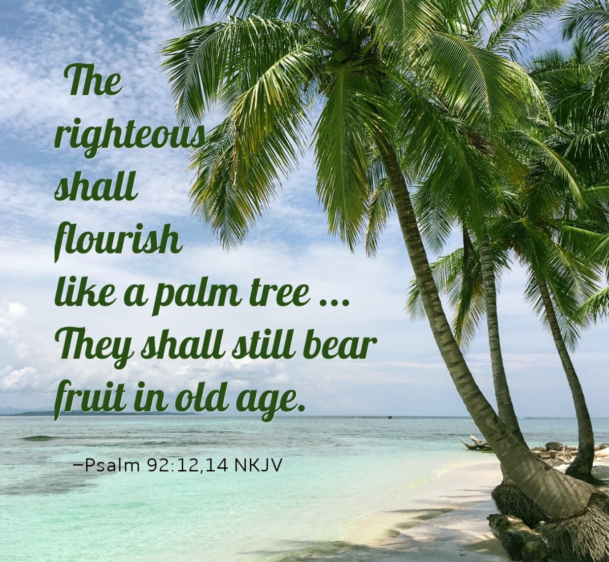 Still Bearing Fruit In Old Age Why LetterPile