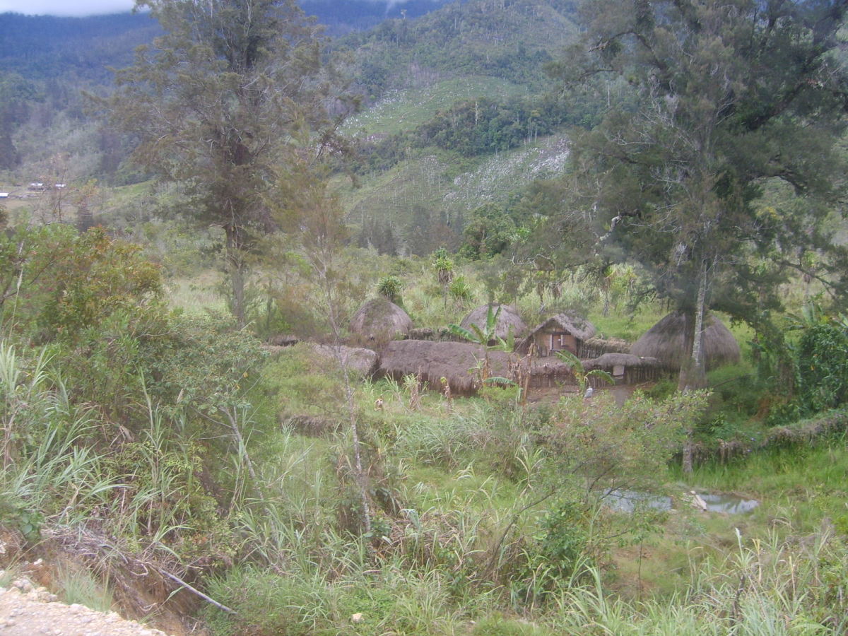 A Small Tribal Compound in The Baliem Valley
