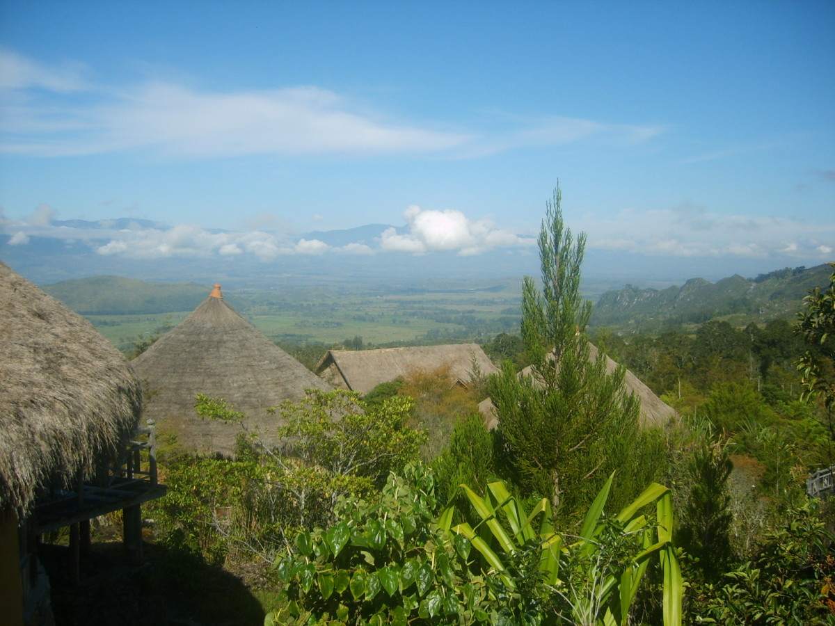 The Baliem Valley seen from The Baliem Valley Resort