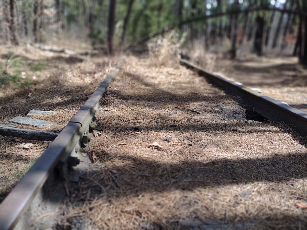 Long forgotten railroad tracks to destinations unknown hidden deep within the pines.