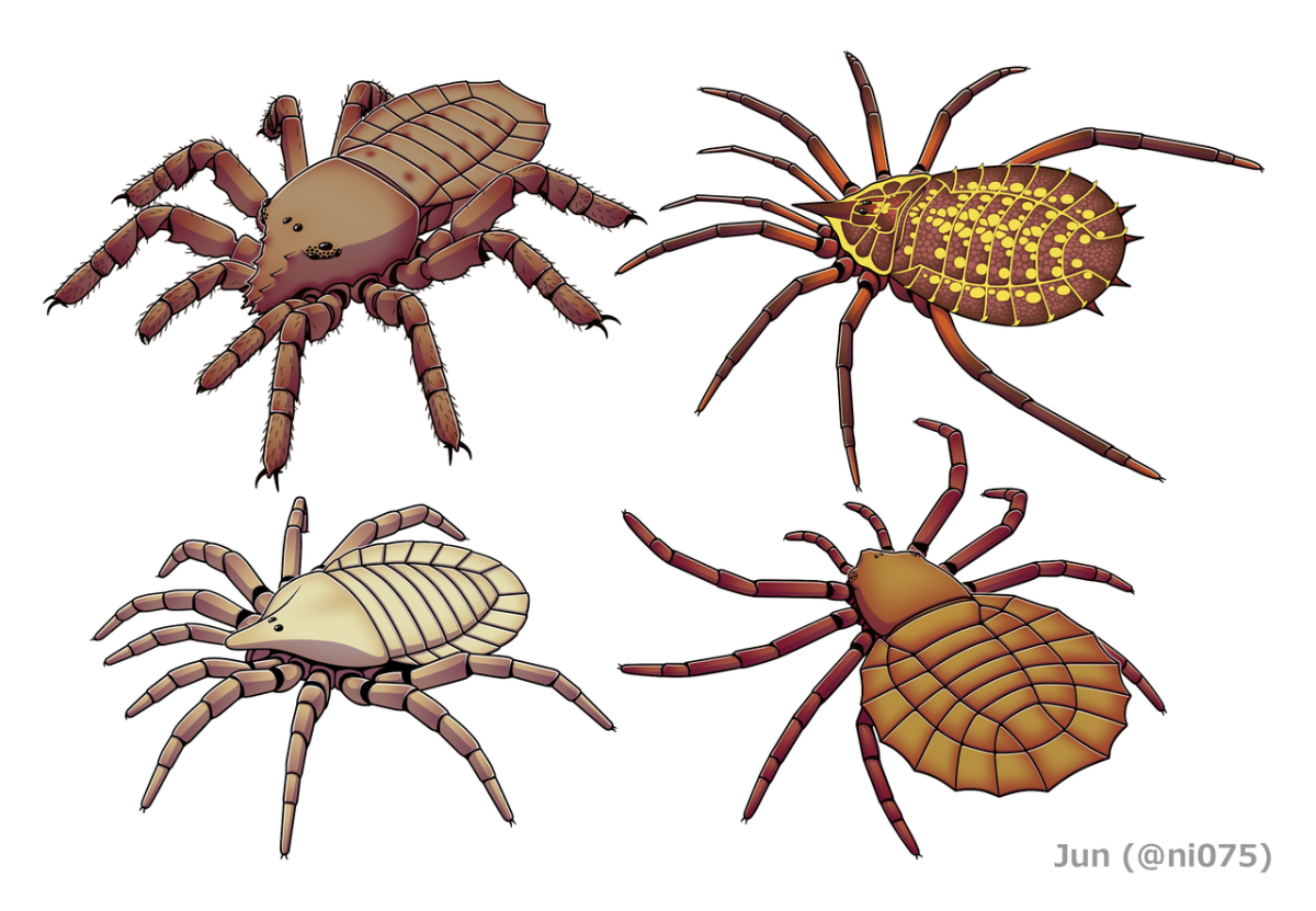 Trigonotarbida, the oldest type of arachnid.