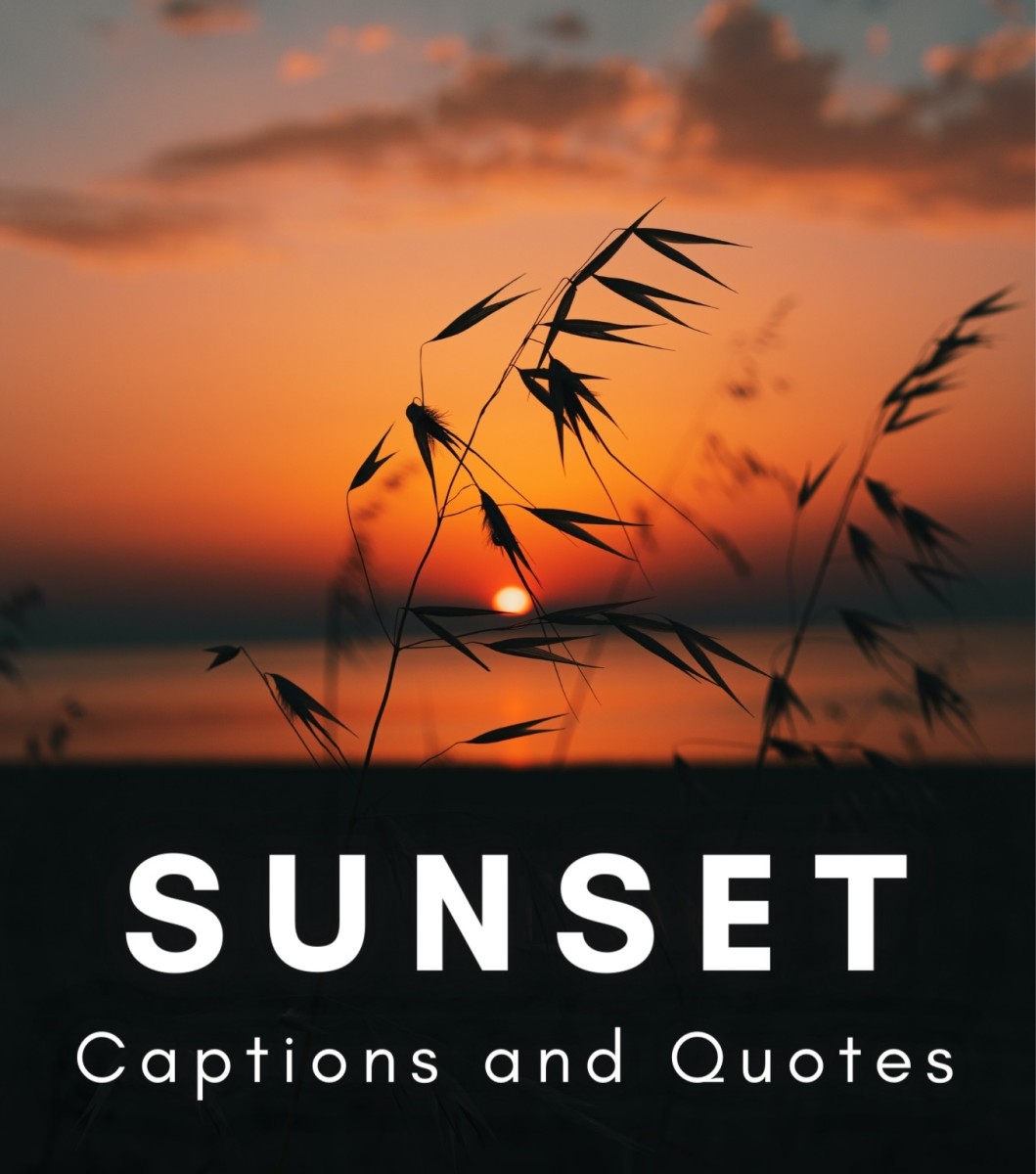 150+ Sunset Quotes and Caption Ideas for Instagram