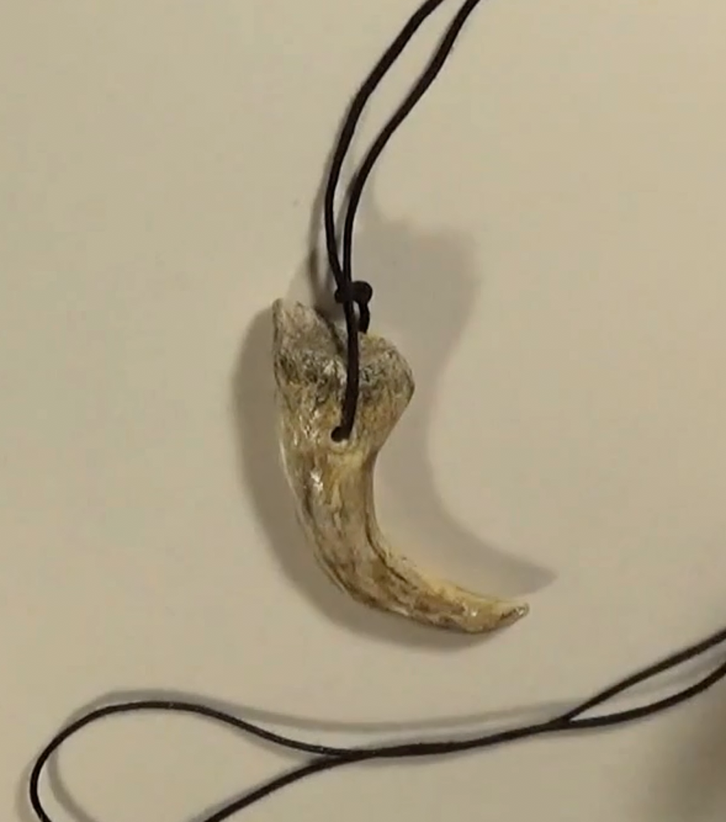 velociraptor-claw-fossil-necklace-using-air-dry-clay