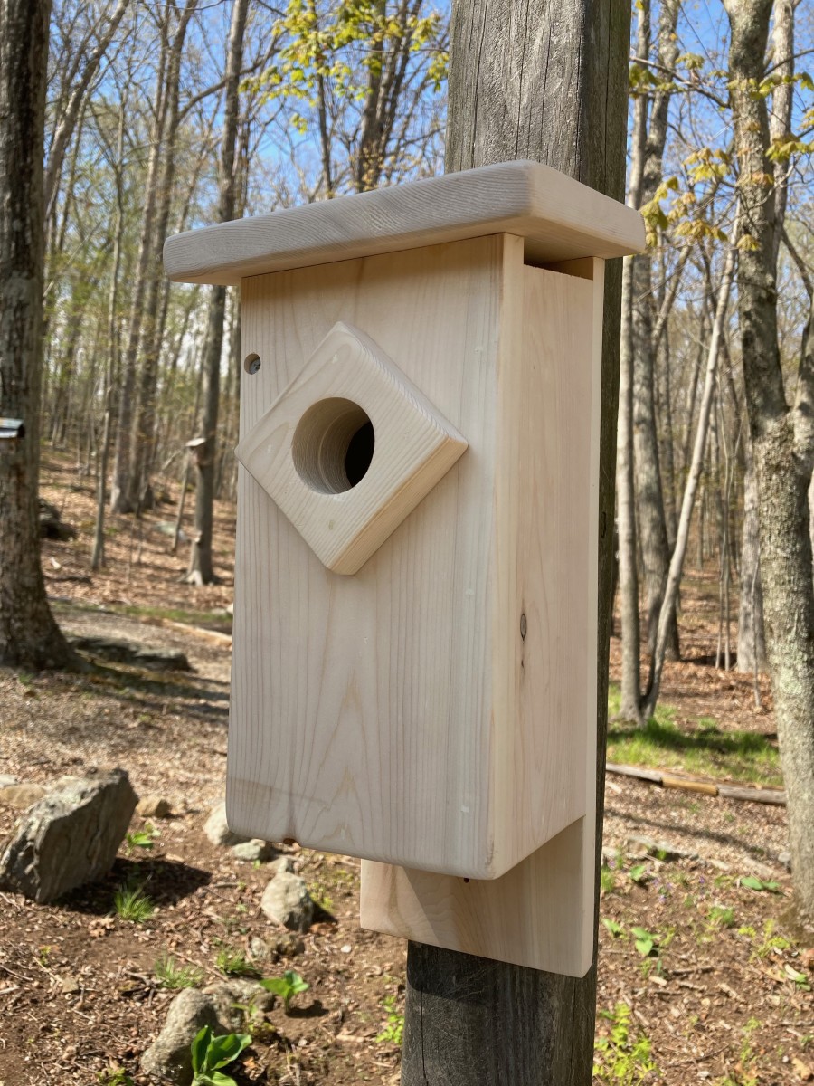 Bluebirds, chickadees, nuthatches and wrens are among the type of birds that will move into a birdhouse