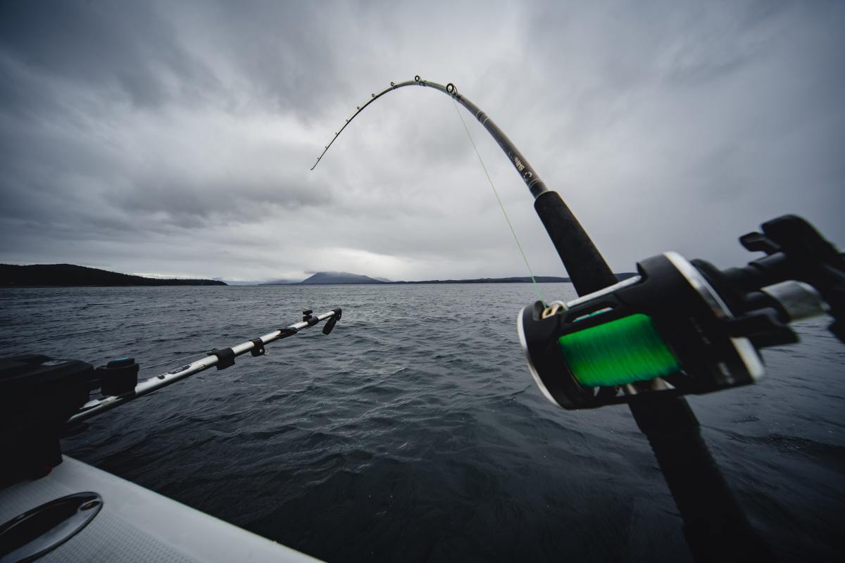 Trolling: Gear, Tackle and Tactics
