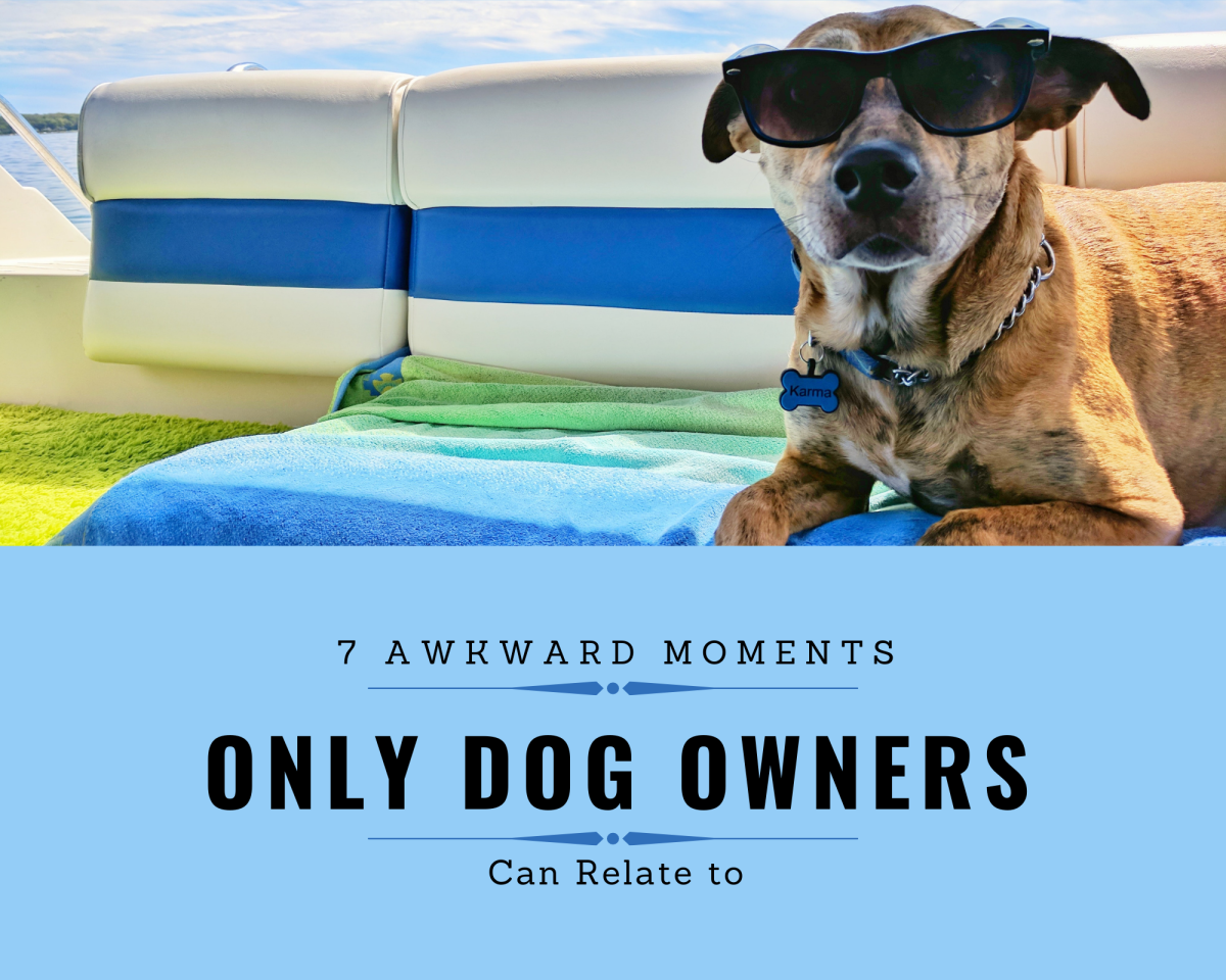 7 Awkward Moments Only Dog Owners Can Relate To
