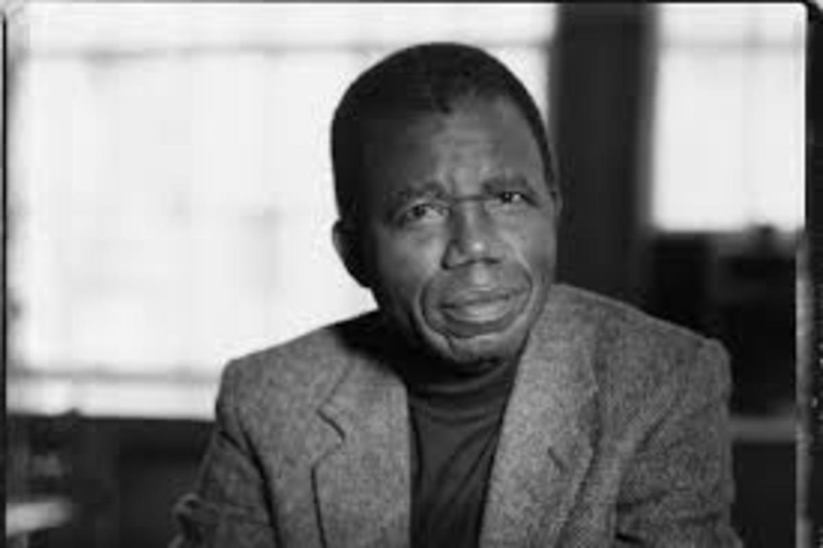 Analysis of Poem 'A Mother in a Refugee Camp' by Chinua Achebe