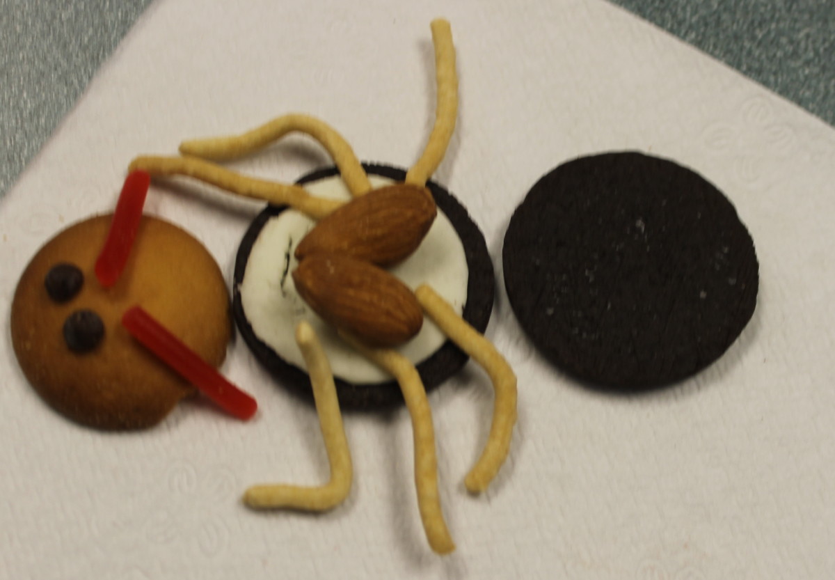 Insect anatomy cookies