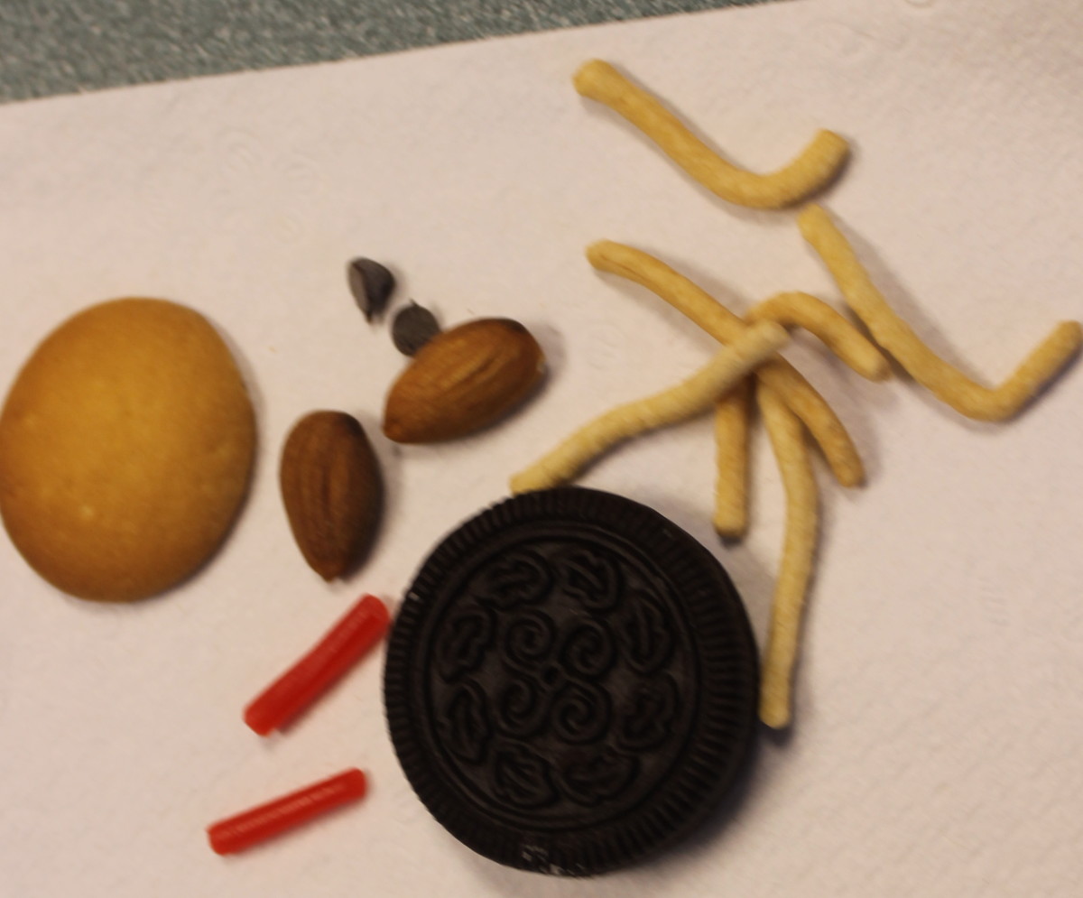 Components of the insect cookies before they are assembled