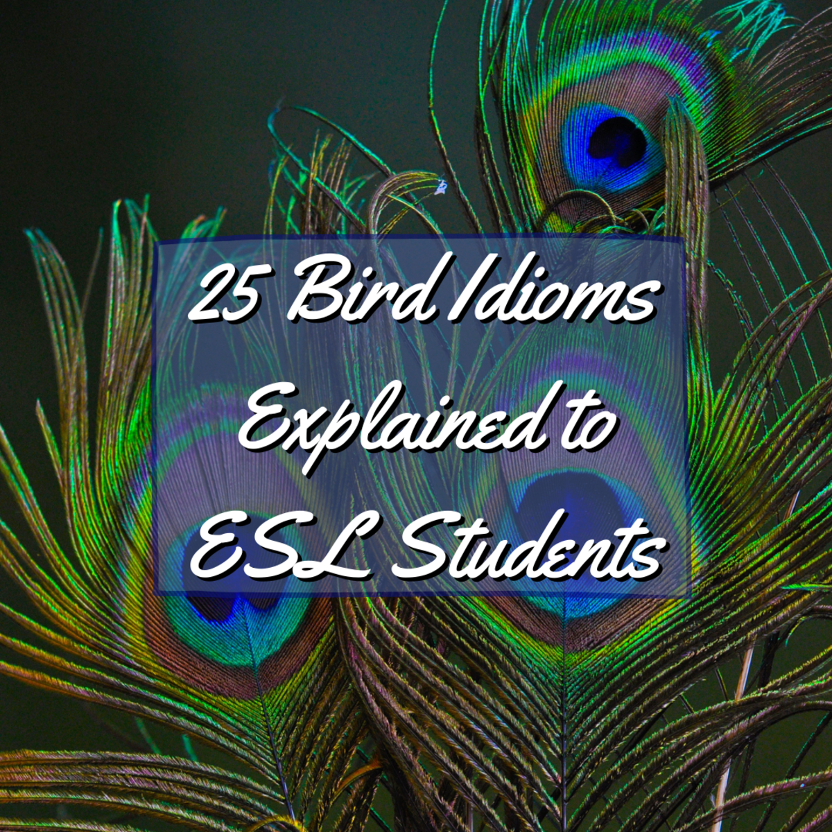 25 Bird Idioms Explained to ESL Students