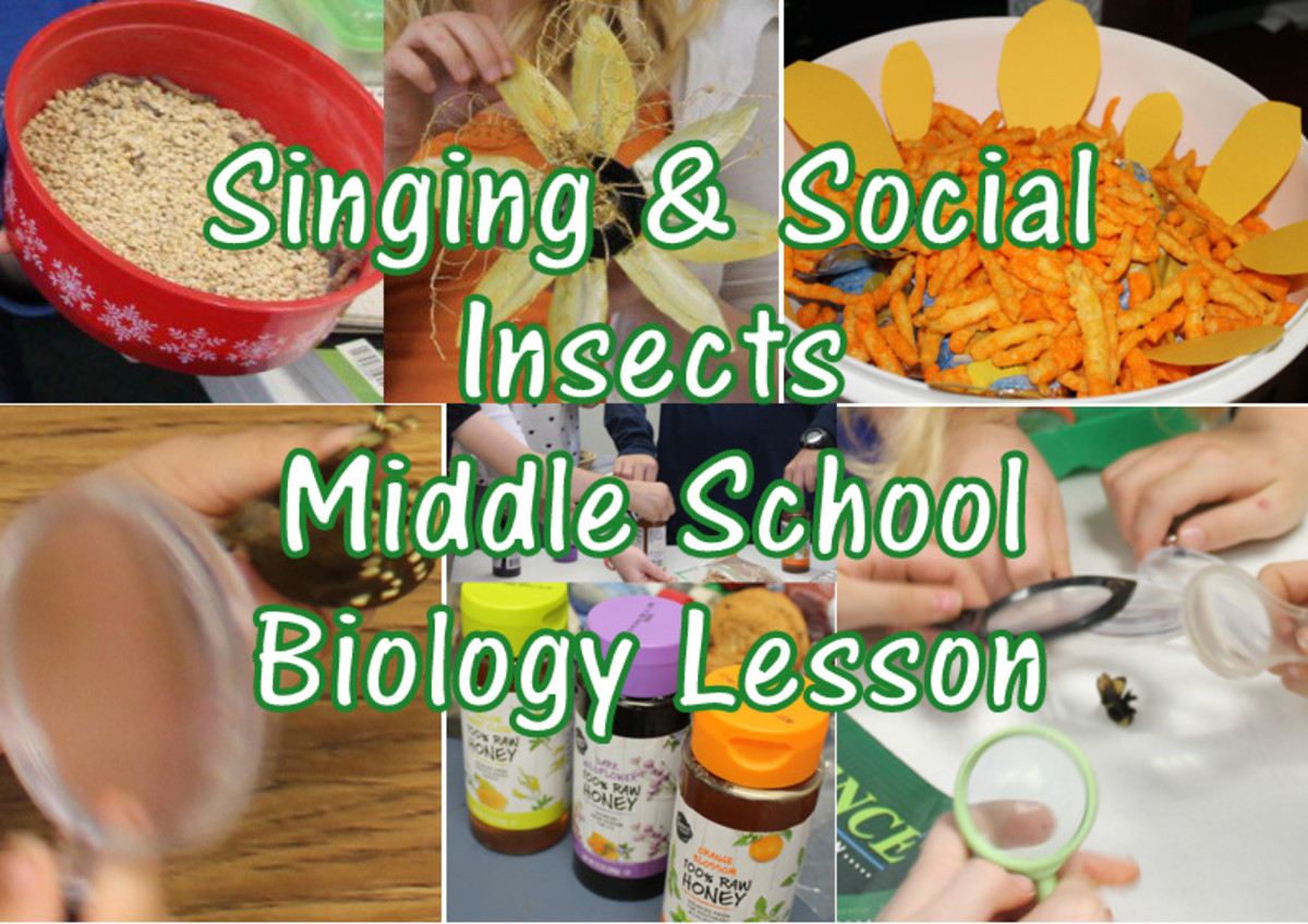 Singing and Social Insects Lesson for Middle School Biology