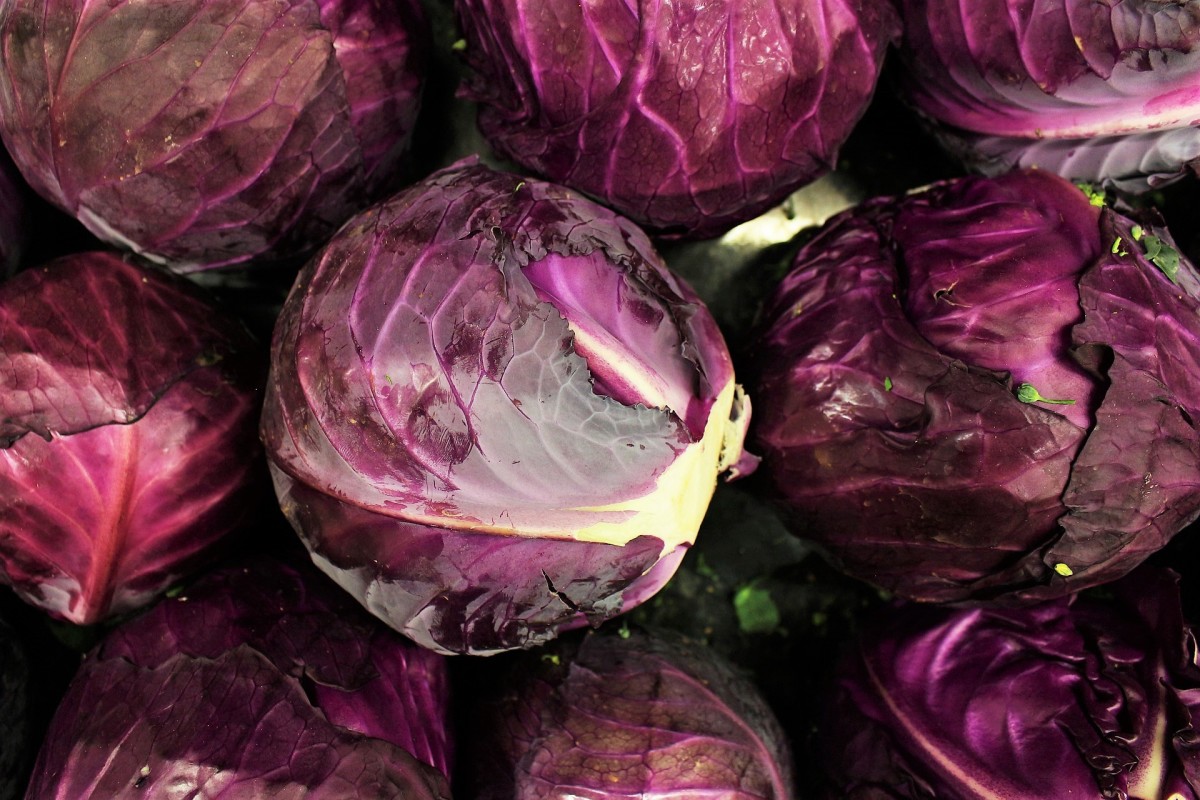 Red cabbages sometimes look purple.