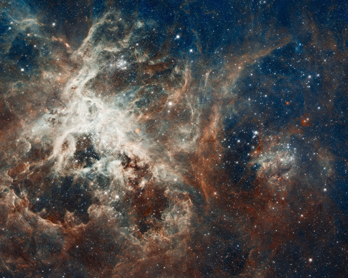 The Tarantula Nebula, NGC 2070.