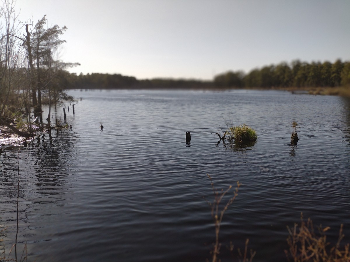 A sneak peek of Goshen Pond 