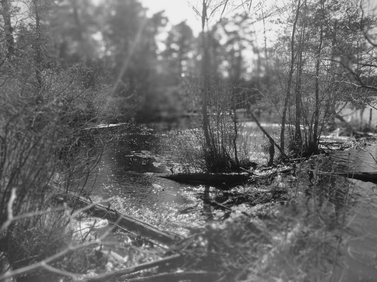 Goshen In Campgrounds at James Frechette blog