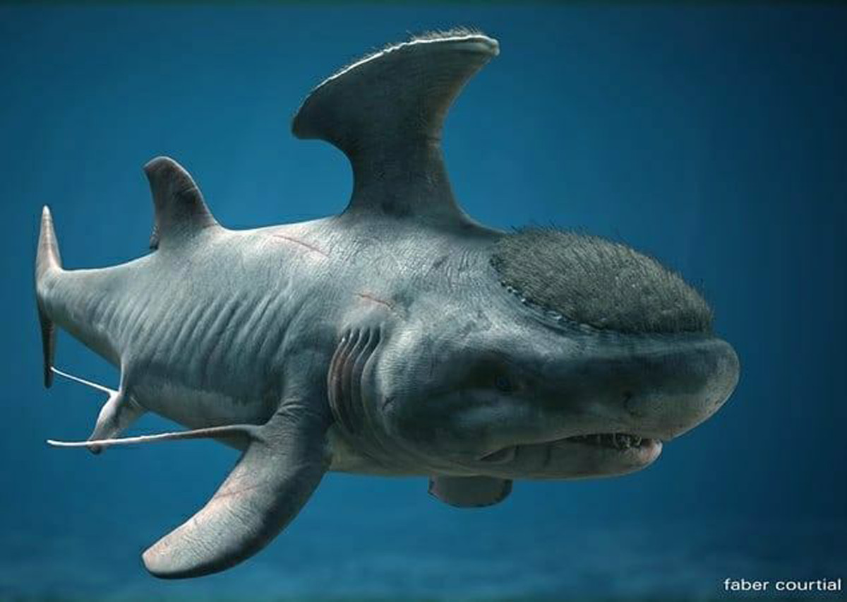 Stethacanthus Prehistoric Shark Rendition by  Michael Schlesinger