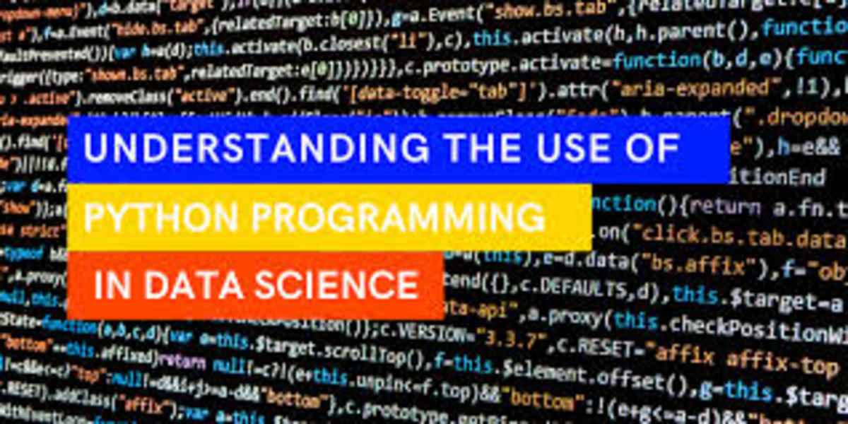 Why is Python Popular Among Data Scientists?