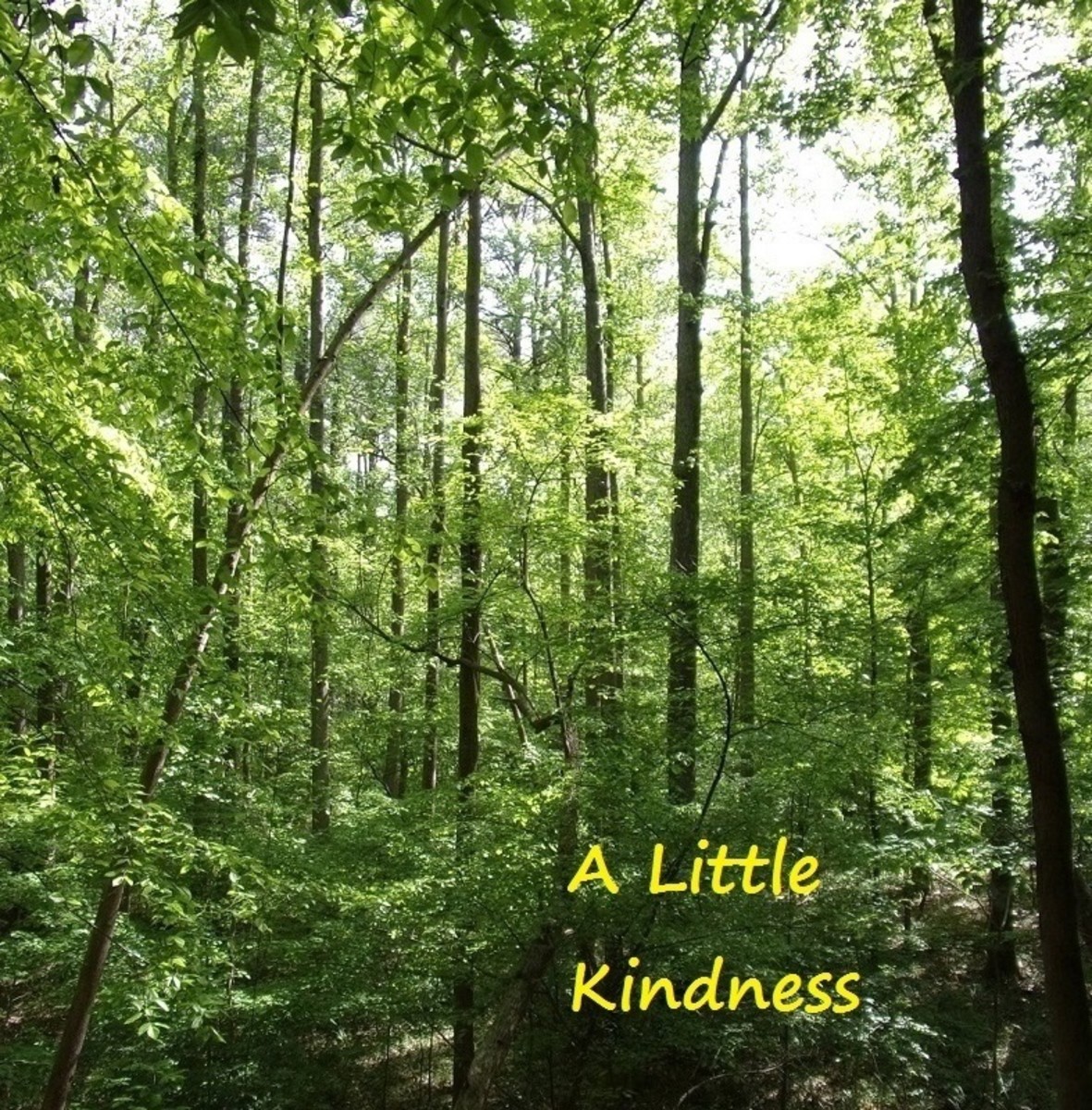 a-little-kindness