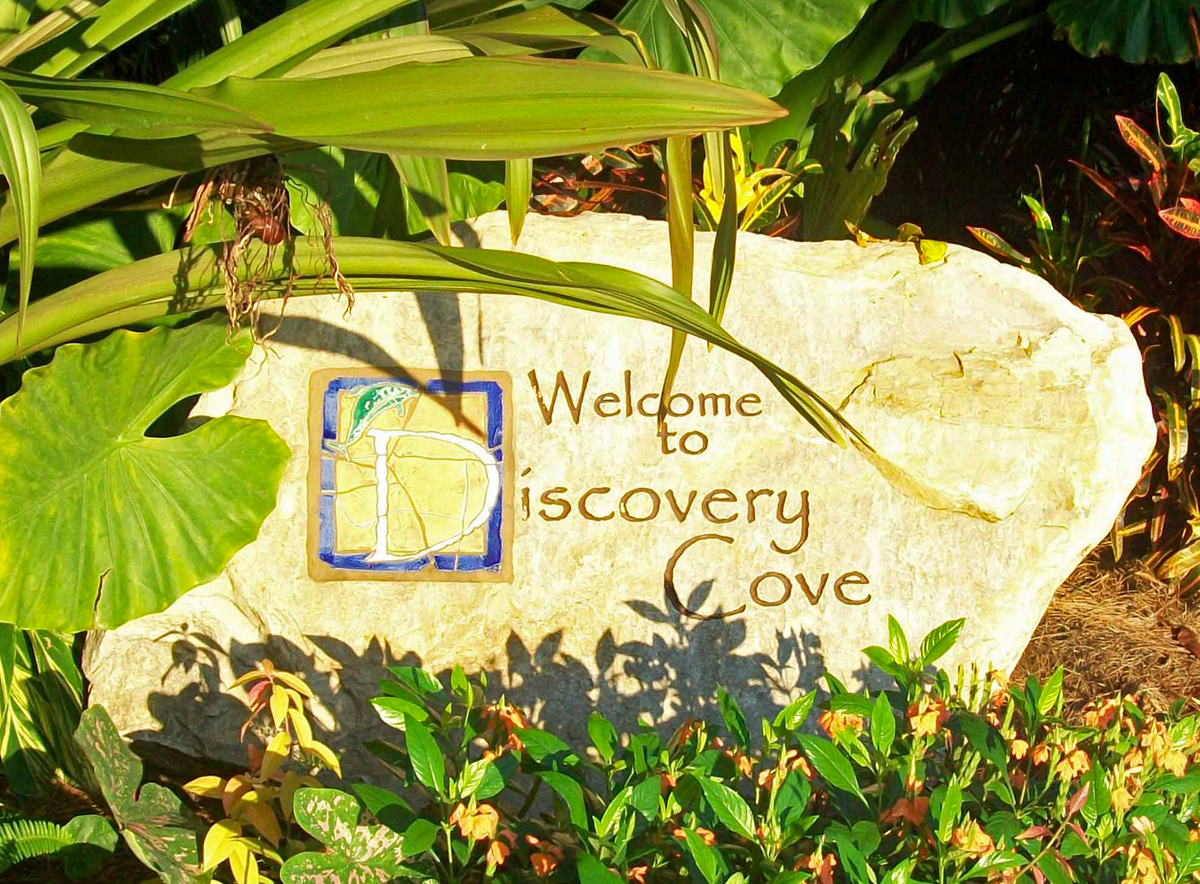 discovery-cove-2
