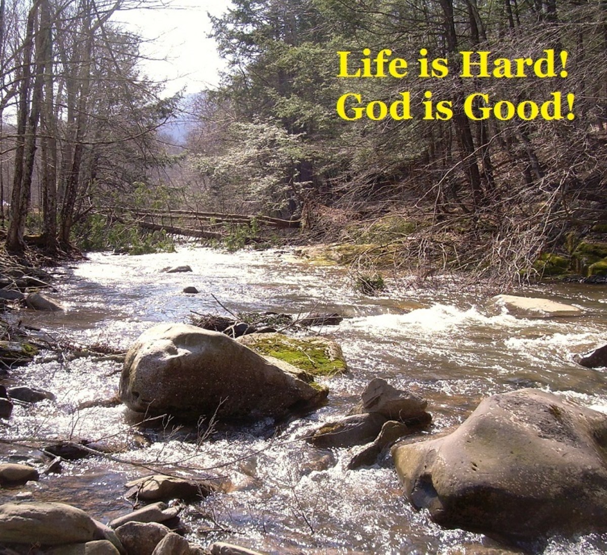 Life Is Hard! God Is Good!