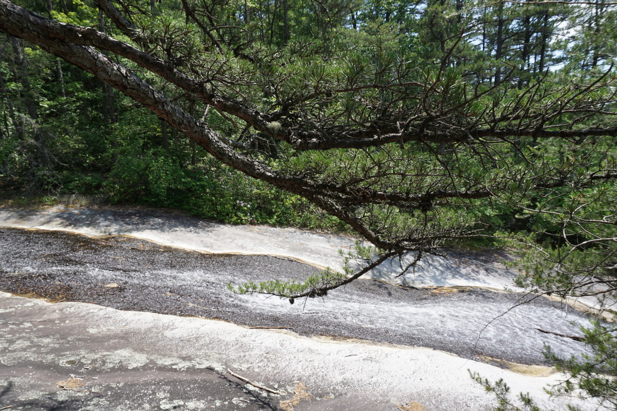 Top of Stone Mountain waterfall - do not climb over the fence in this area - it is too dangerous.
