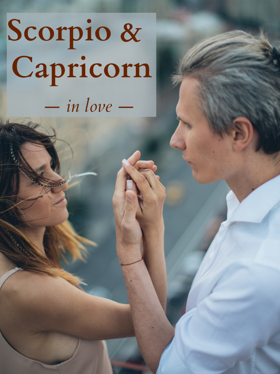 Scorpio and Capricorn are a serious pair. When they put their minds together, they focus on survival and instinct.