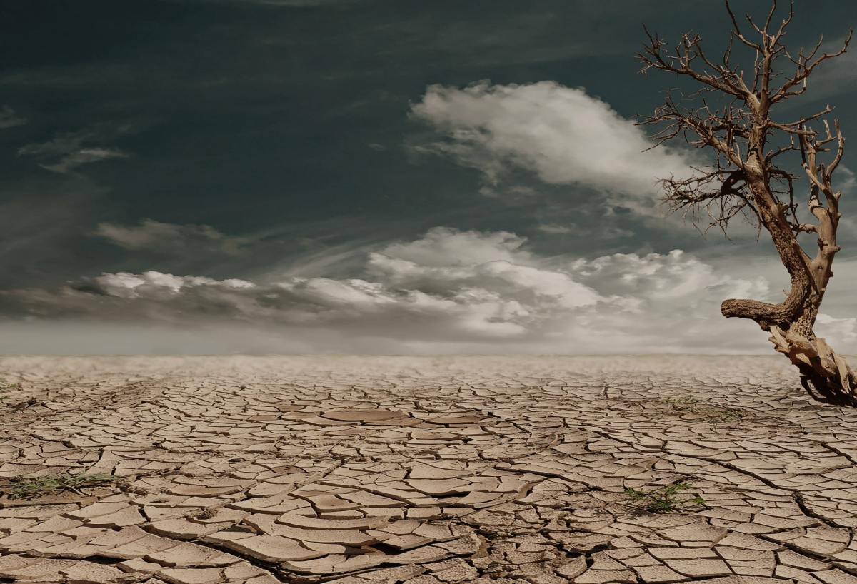Effects of Climate Change on Our Society and Remedial Measures