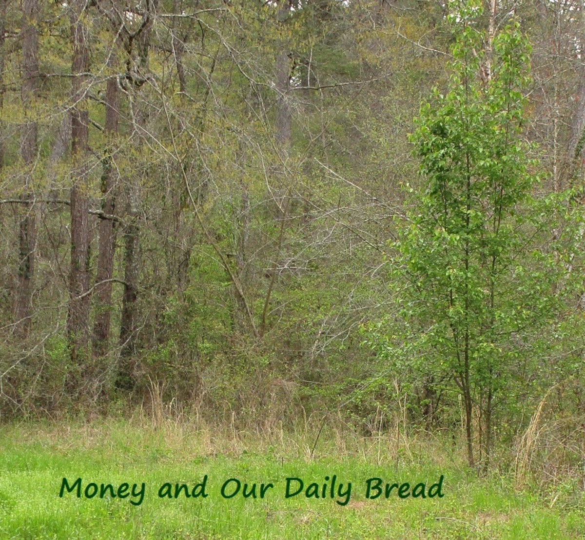 money-and-our-daily-bread
