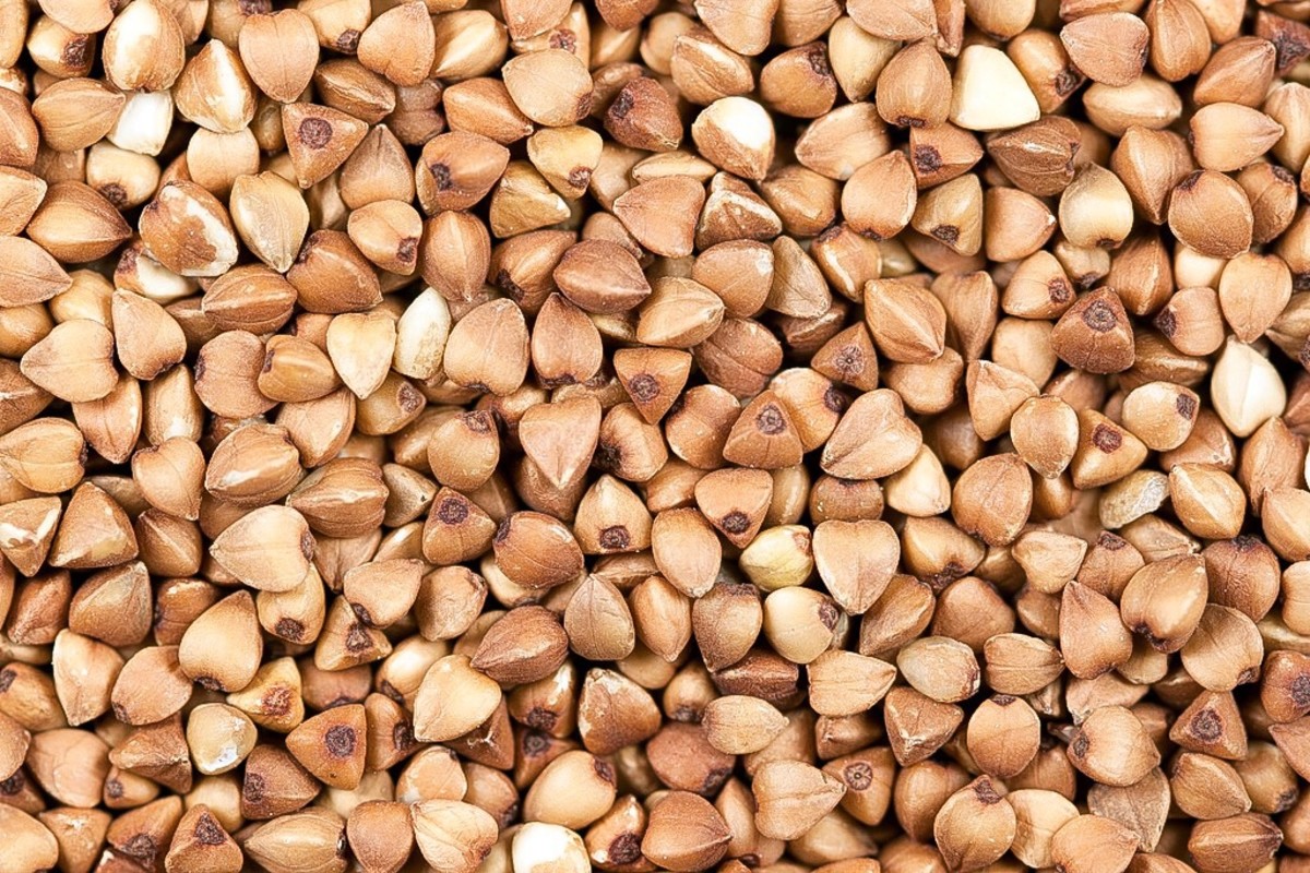 Buckwheat seeds or groats