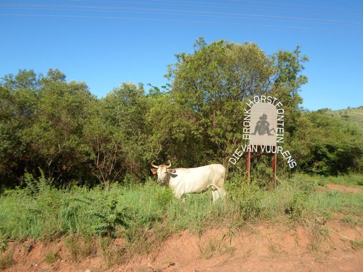 Region: Groot Marico, North West Province, South Africa © Martie Coetser