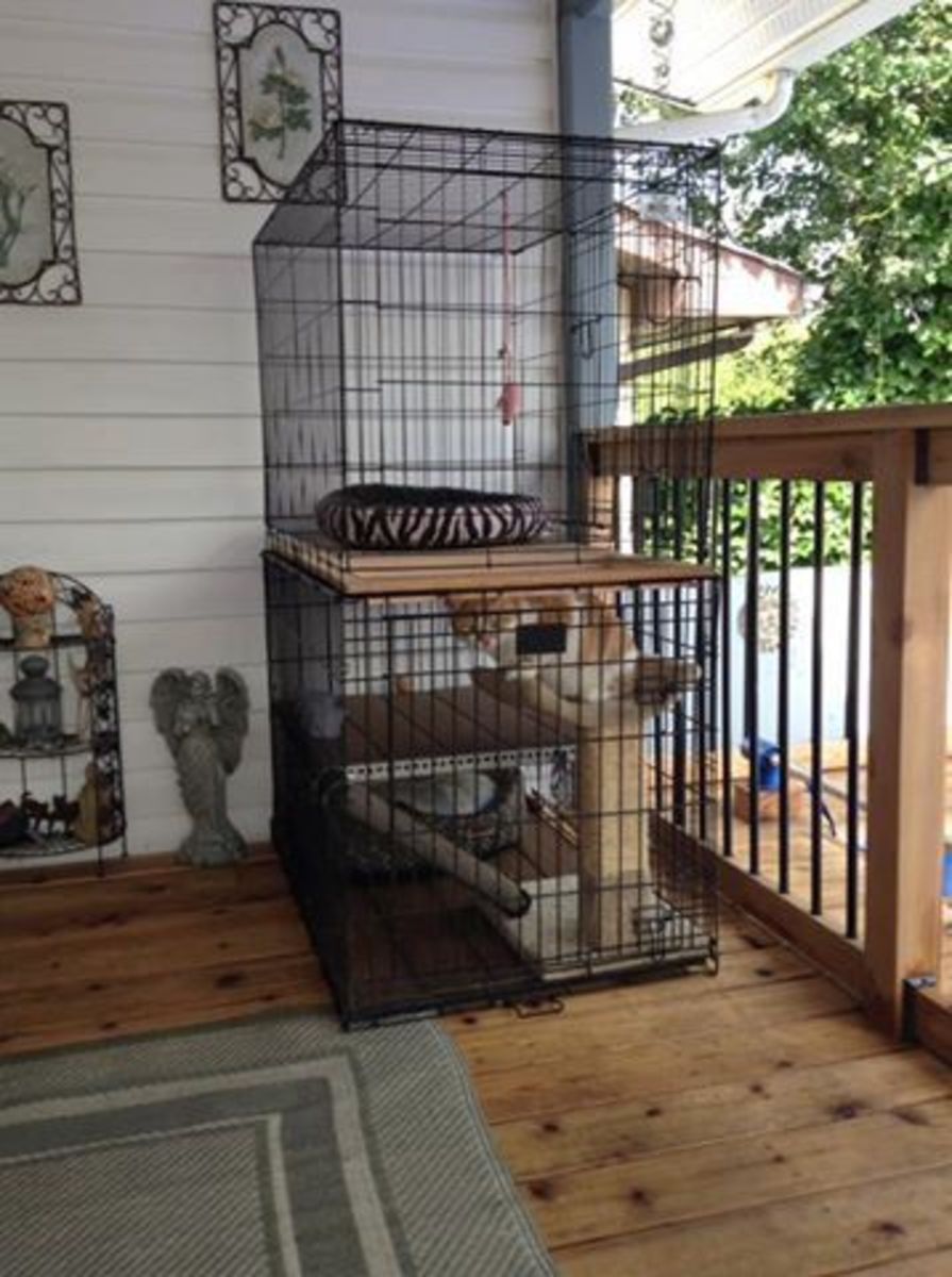 DIY catio—two medium or large dog kennels stacked with a board in between