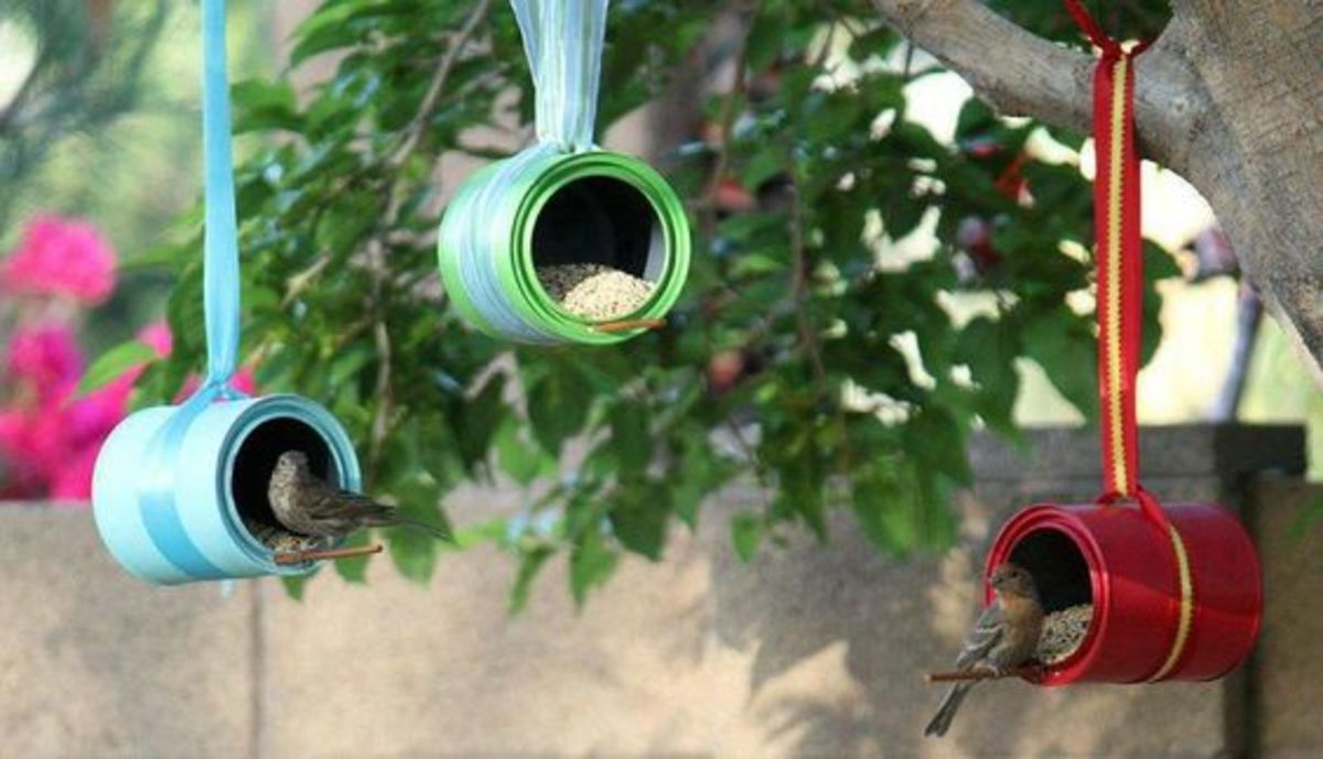 upcycle cans into bird feeders