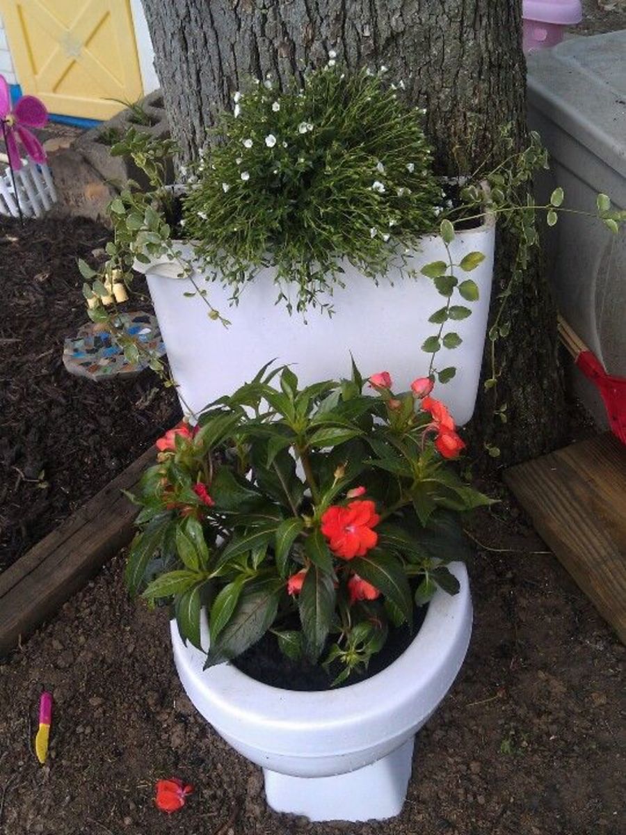 Turn your old toilet into a flower pot!