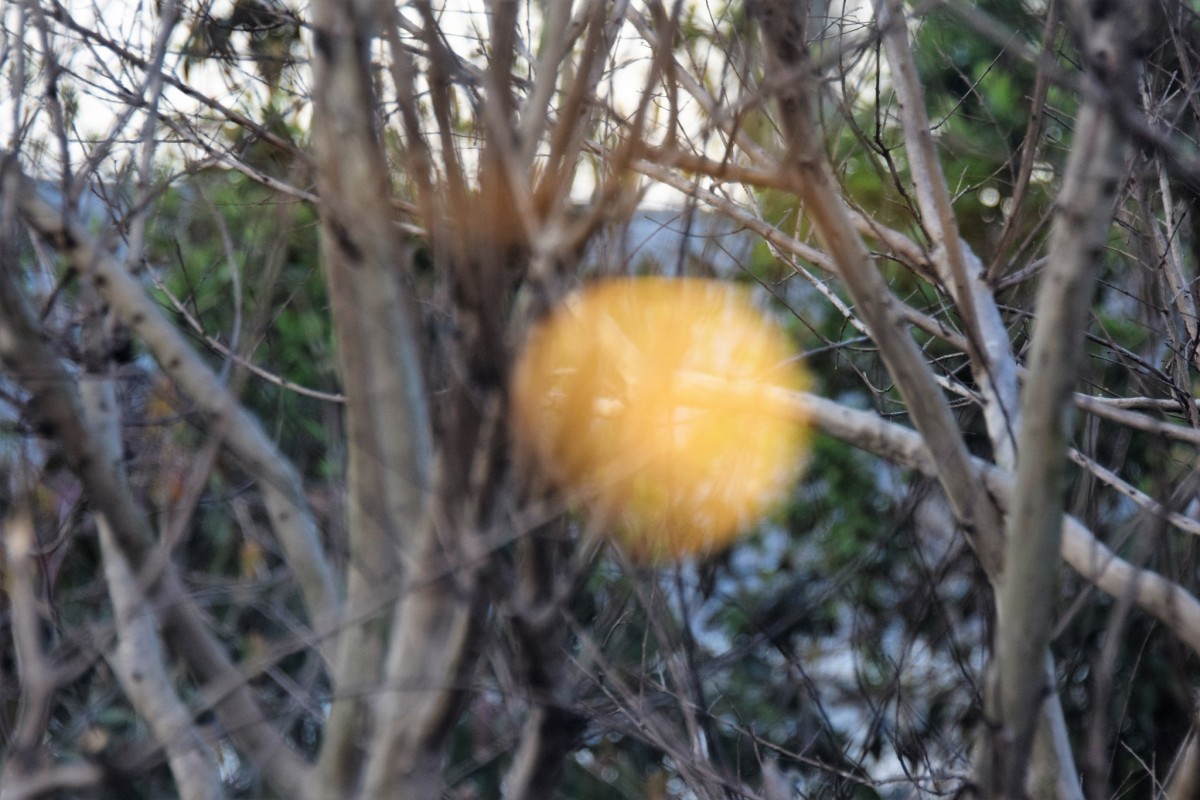 Many orbs are white, but they also come in other colors, like this yellow orb. There are several theories about these mysterious entities.