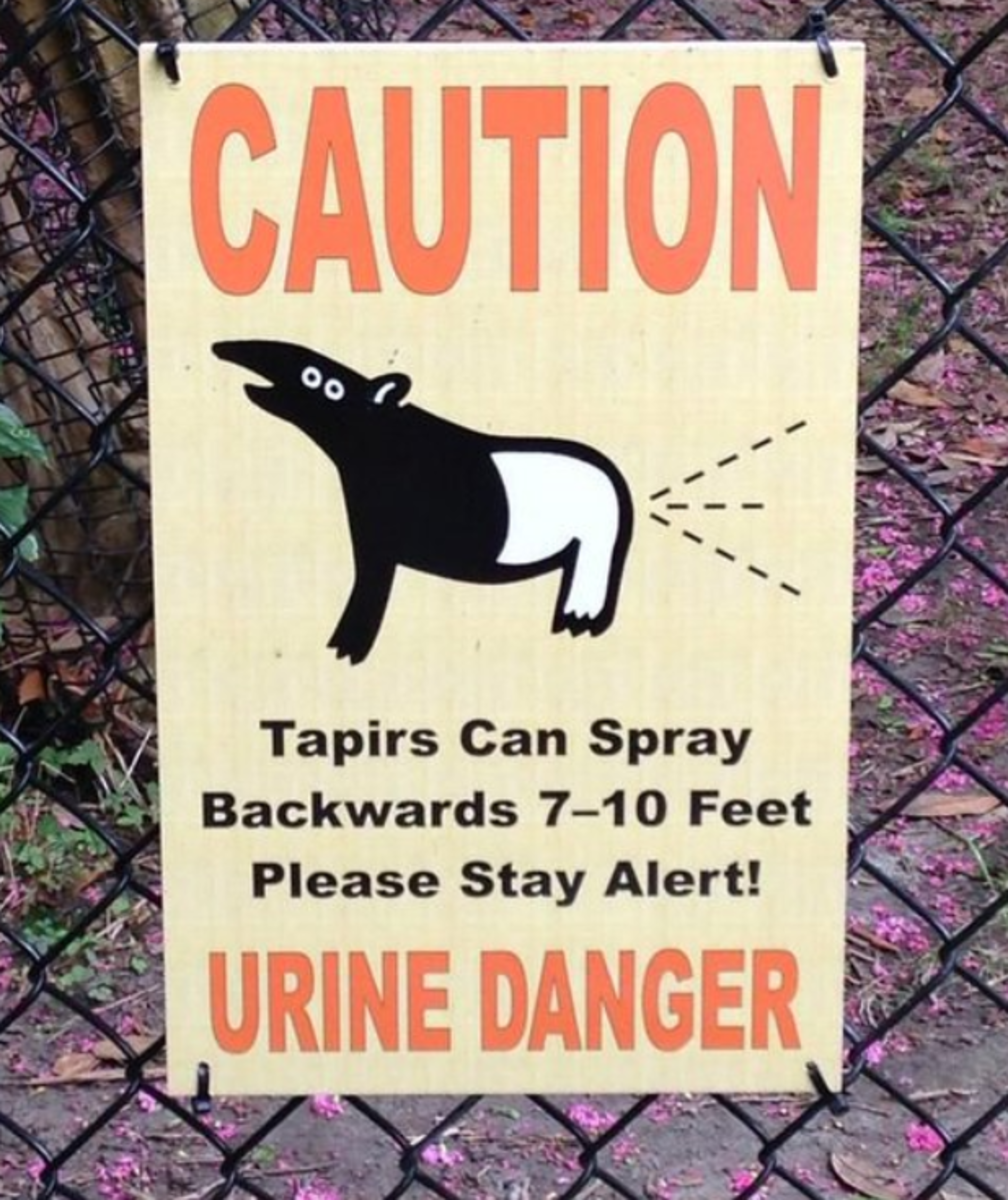 world-tapir-day