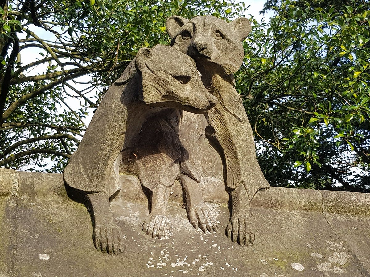 A pair of lovesick racoons on the animal wall, Cardiff Castle, Cardiff, Wales.