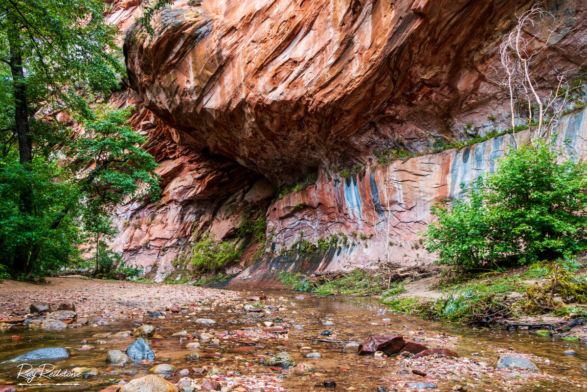 The Stunning West Fork Of Oak Creek Hiking Trail In Sedona Hubpages 3196