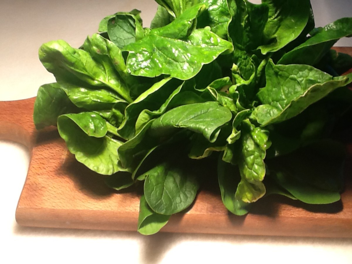 Spinach Recipes and More
