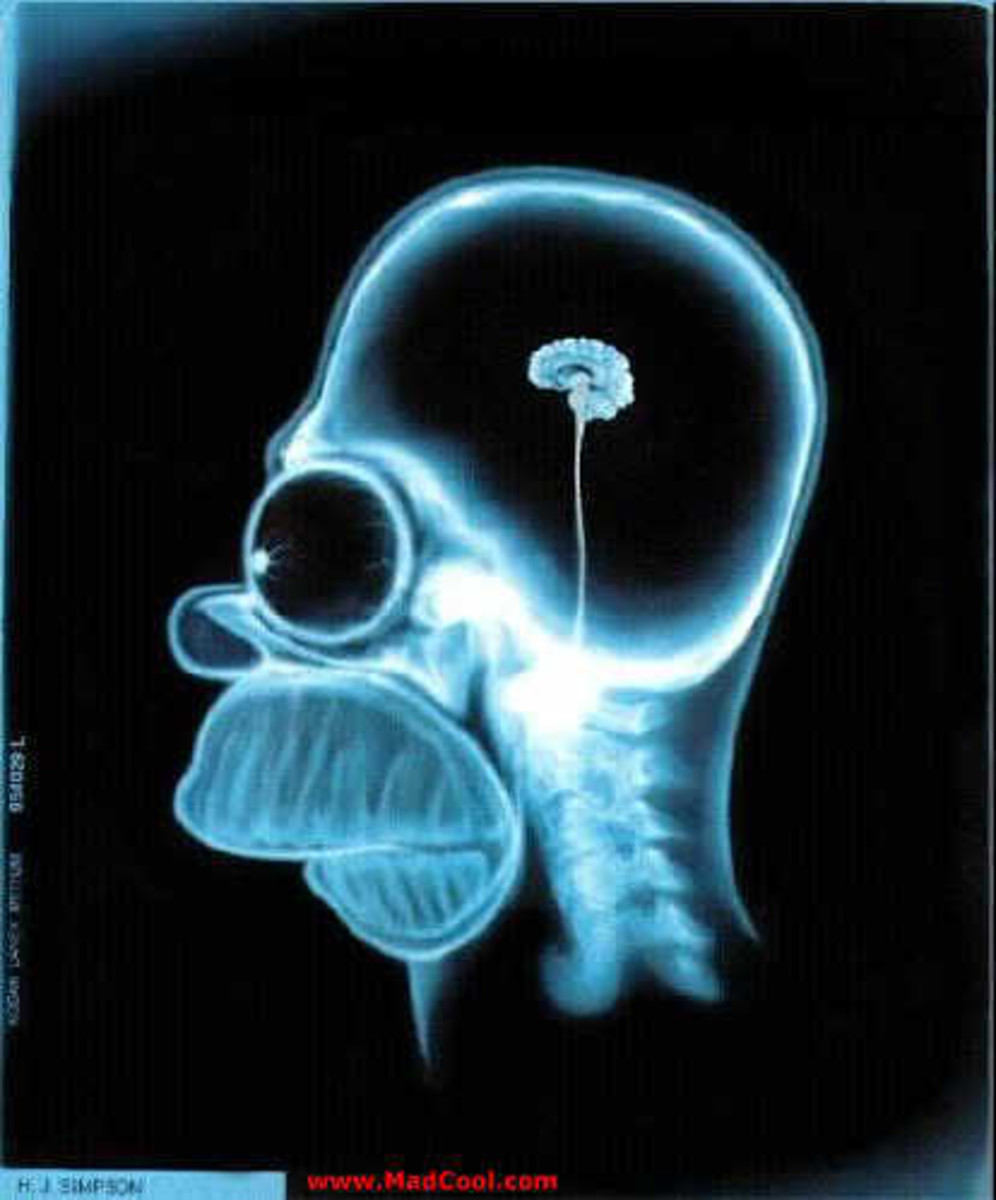 homer simpson's brain, photo By franka20, source Photobucket - Which is better for you? Red Beer or Wine (guess what Homer drinks?)