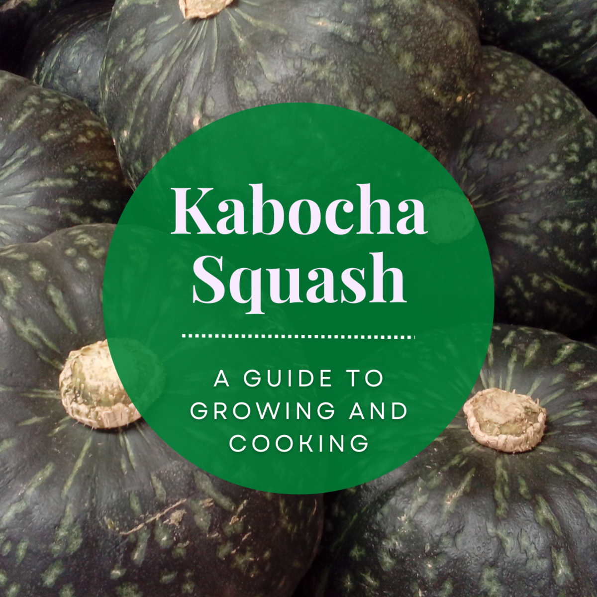 How to Grow Kabocha Squash and Prepare Its Flowers, Leaves, and Fruits for Consumption