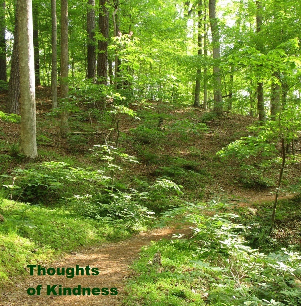 thoughts-of-kindness