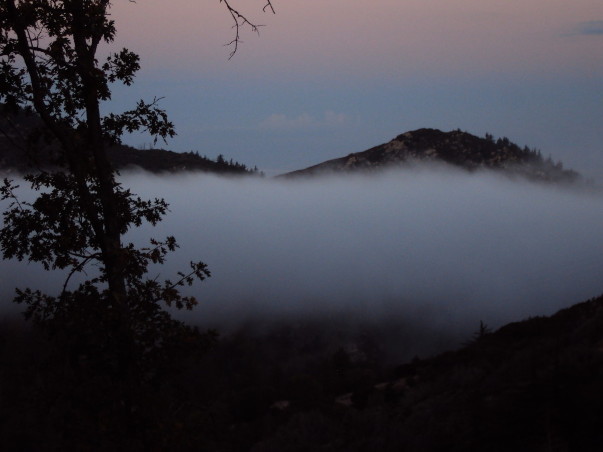 Fog in the San Bernardino Mountains.