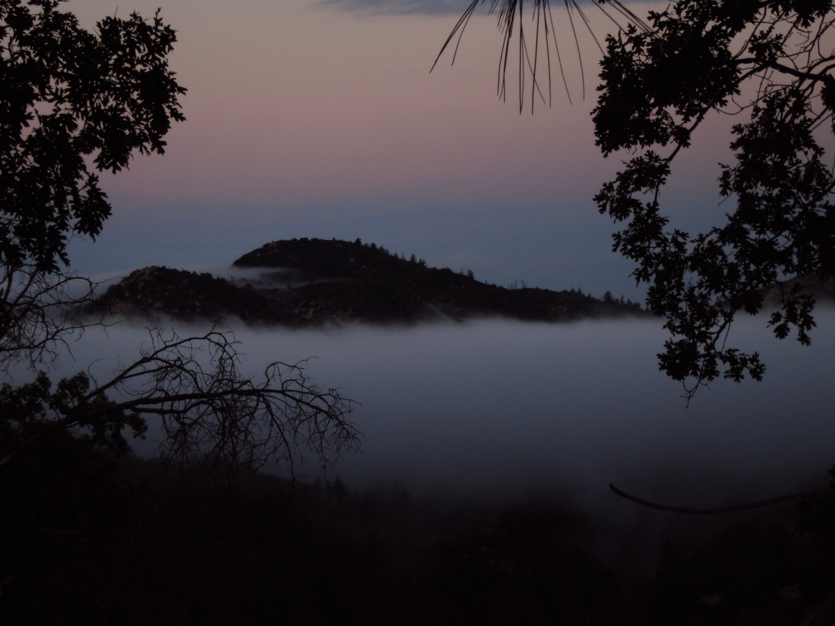 More fog in the San Bernardino Mountains.