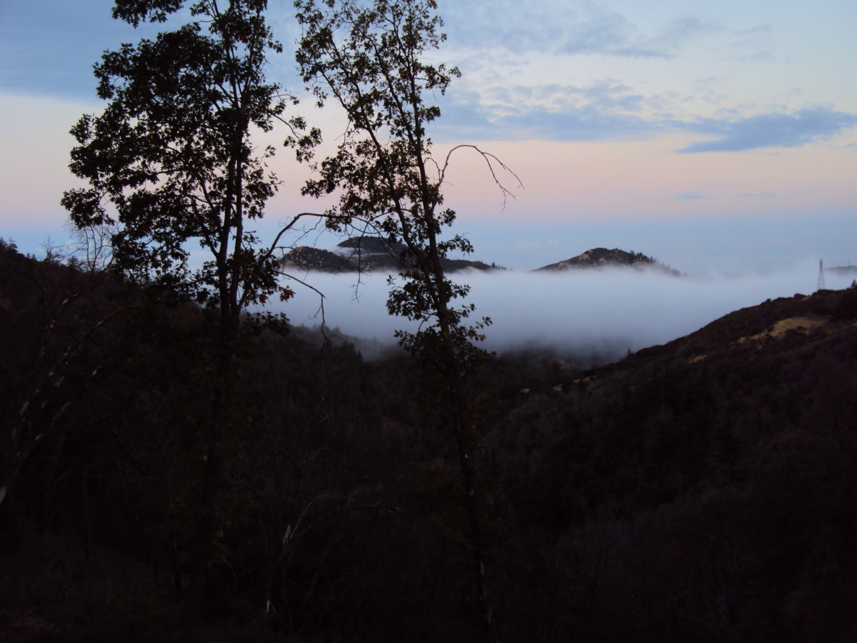 The fog continues to roll in through the San Bernardino Mountains.