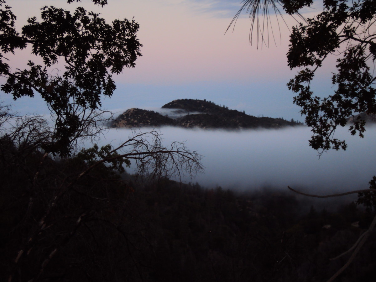 Fog in the San Bernardino Mountains.