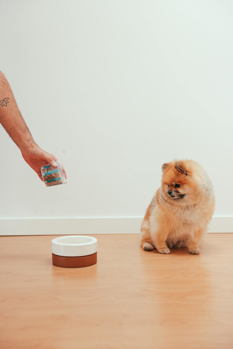 Happy Animals, Happy Life: Finding the Right Pet Food