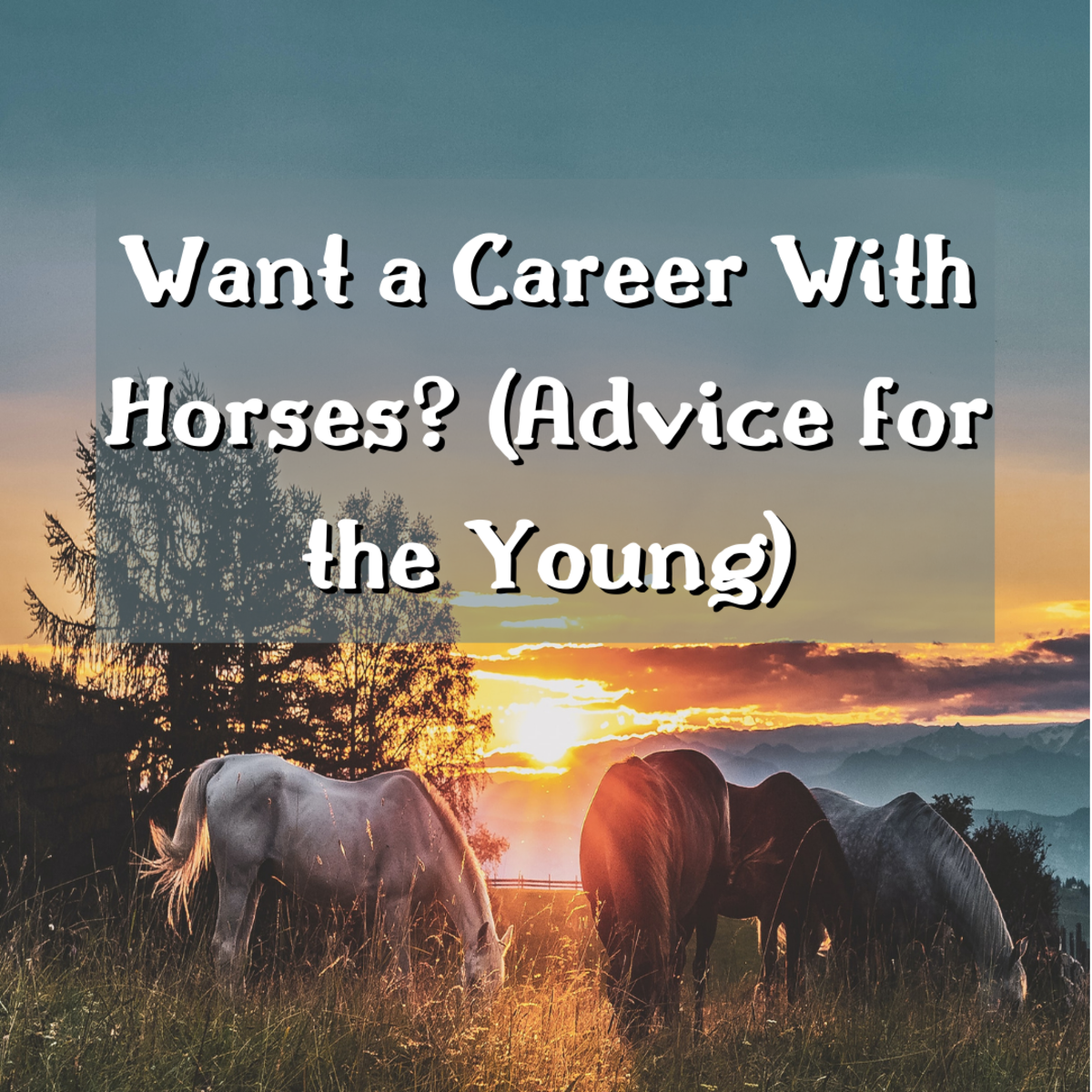 Do you want a career in the horse industry? Read on to find important advice on pursuing a career with horses.