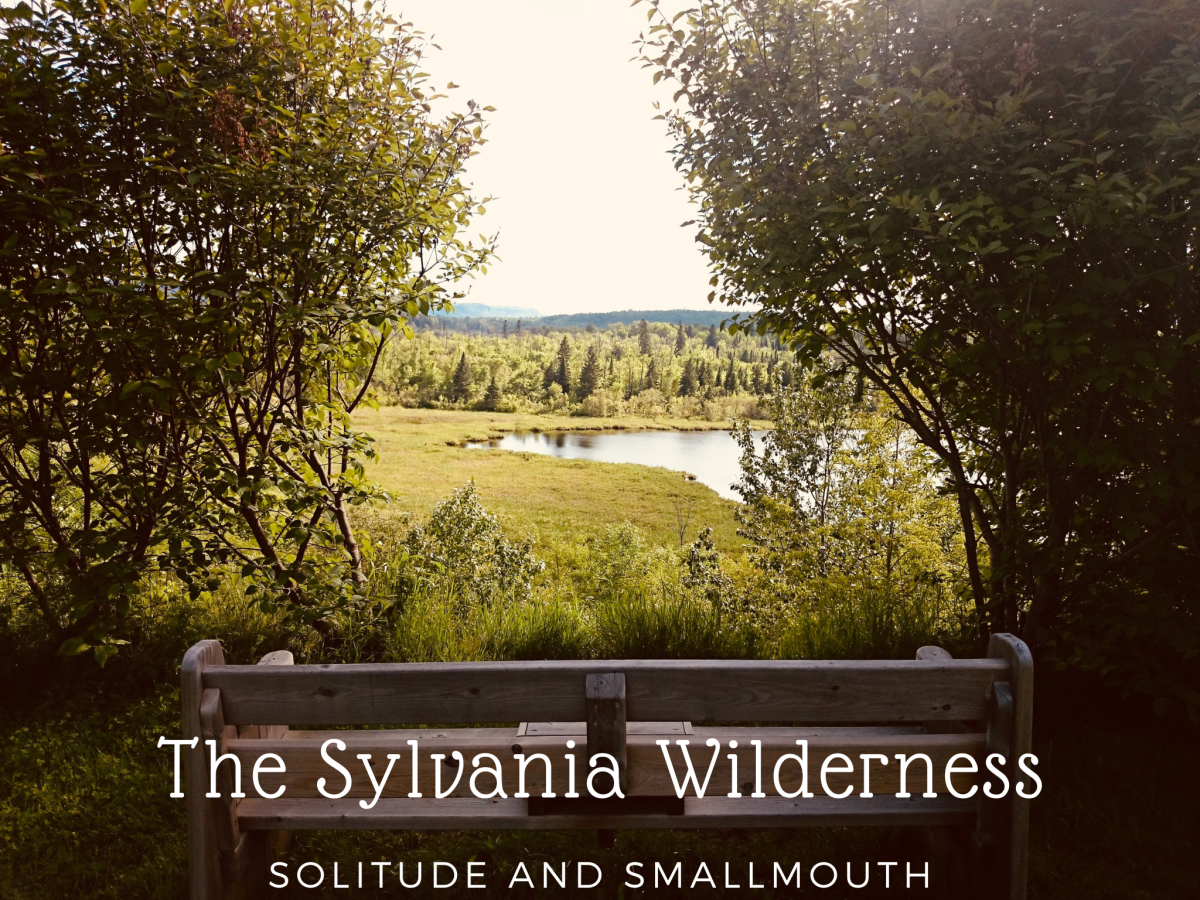 Learn all about my favorite spot, the Sylvania Wilderness. 